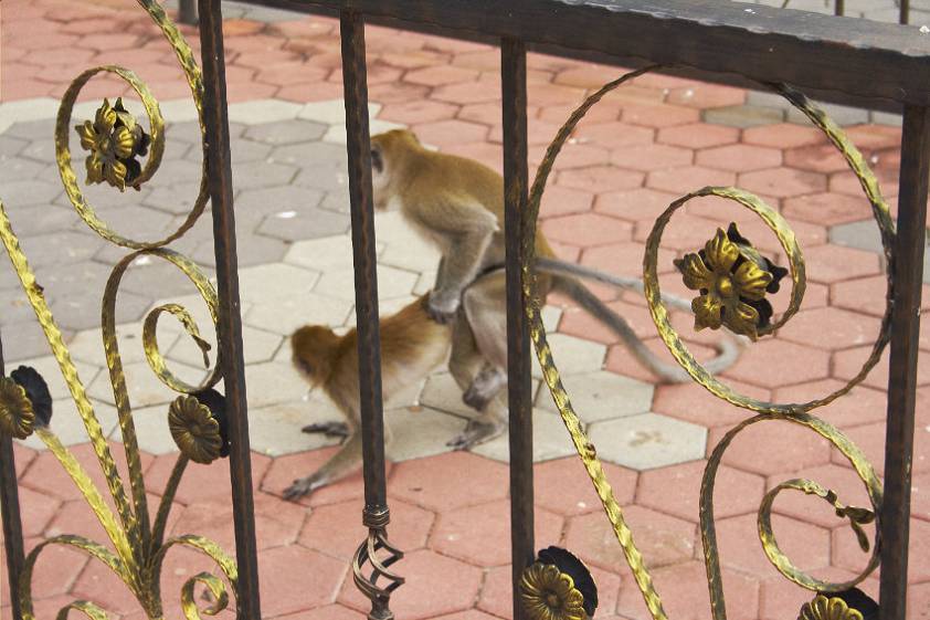 Разврат средь бела дня Разврат средь бела дня